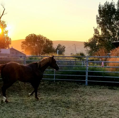 13:54:56 GMT-0700 (MST)