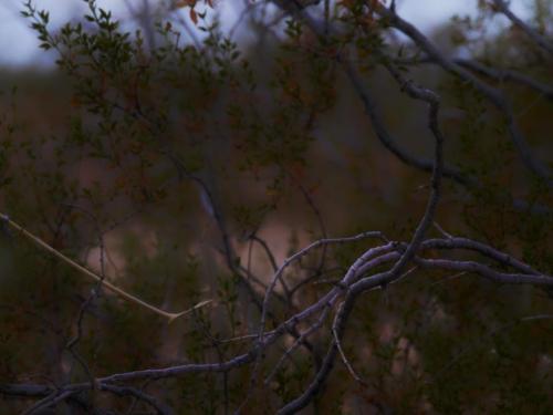 12:15:46 GMT-0800 (PST)