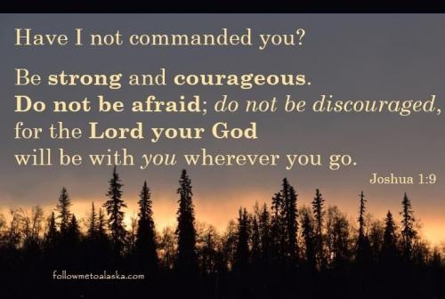 08:50:24 GMT-0900 (AKST).image