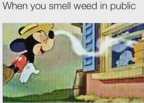 08:04:59 GMT-0500 (EST).image