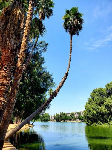 15:26:21 GMT-0800 (PST)