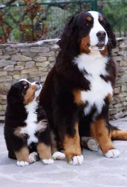 21:20:52 GMT-0500 (EST).image