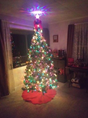 img_2020_11_28_18_44_46