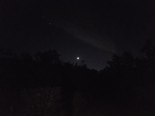 11:55:14 GMT-0600 (CST)