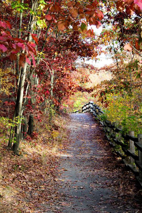 11:14:17 GMT-0500 (EST).image