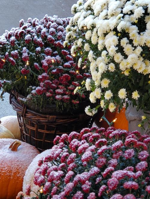 15:02:59 GMT-0600 (CST)