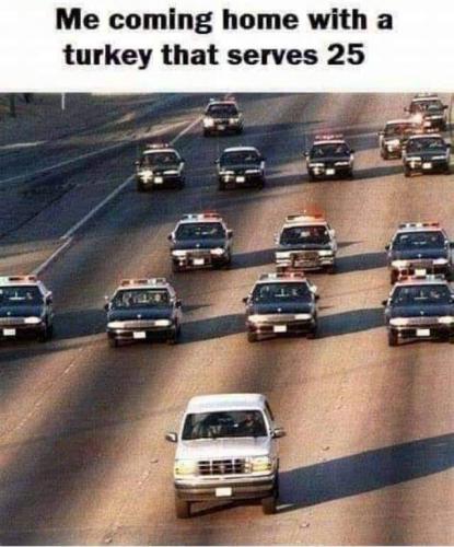 25 Serveings Turkey