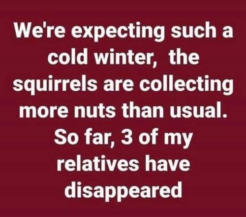 00:49:36 GMT-0800 (PST).image