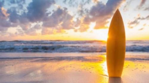 103272803_3151886531565425_8698133346497947911_n