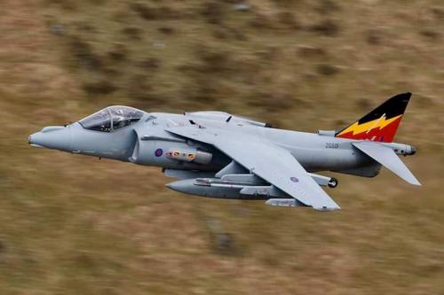 125413050_3509195699166625_3813714135039396554_n