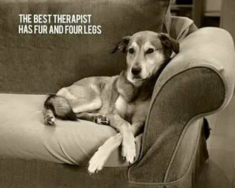 best_therapist_n