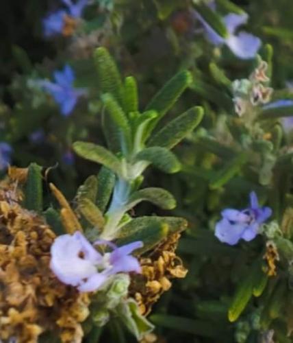 15:03:28 GMT-0800 (PST)