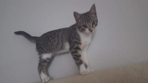 15068945_10154566147481550_8861018879419432646_o