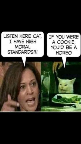 11:21:29 GMT-0600 (CST)