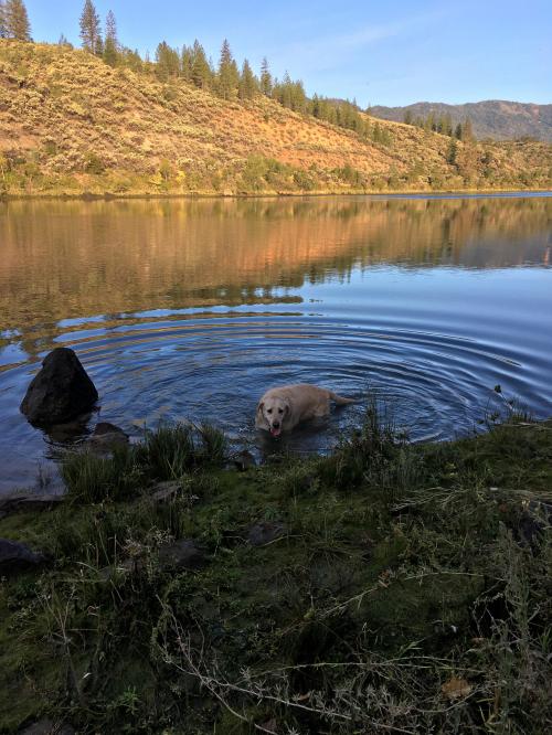 07:30:17 GMT-0800 (PST).image