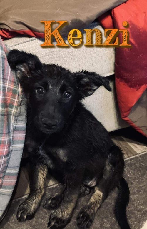 15:48:45 GMT-0600 (CST).image