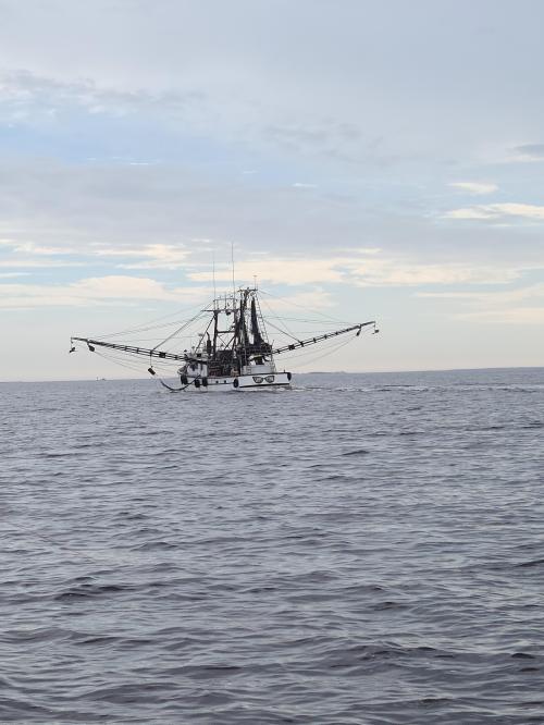 17:28:11 GMT-0500 (EST)