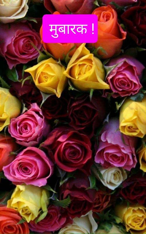 17:31:38 GMT-0500 (EST)