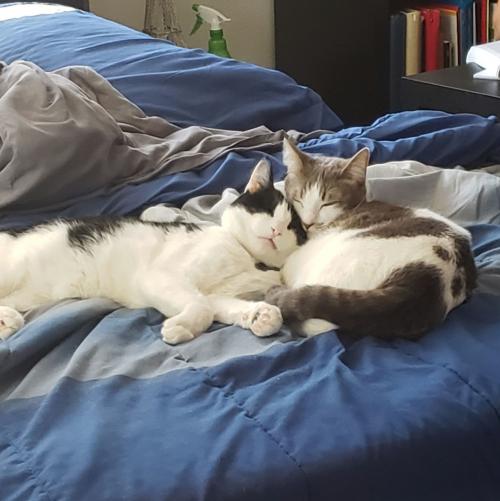 19:52:36 GMT-0800 (PST)