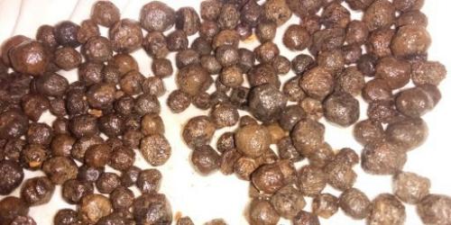 03:49:15 GMT-0600 (CST)