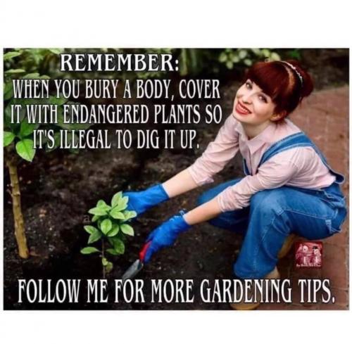 18:05:01 GMT-0700 (MST).image