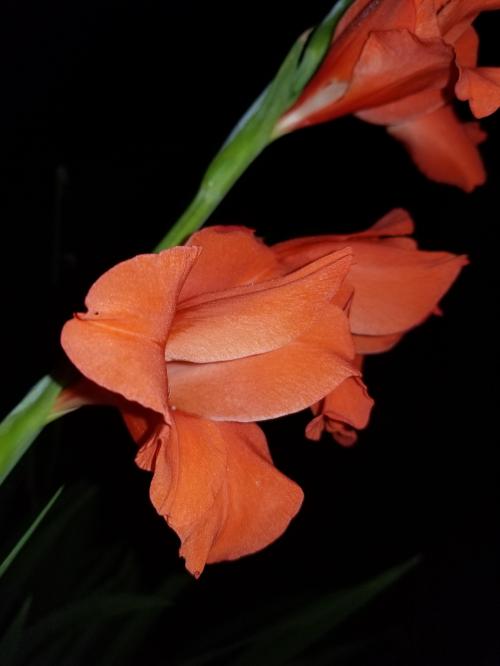 01:58:54 GMT-0600 (CST)