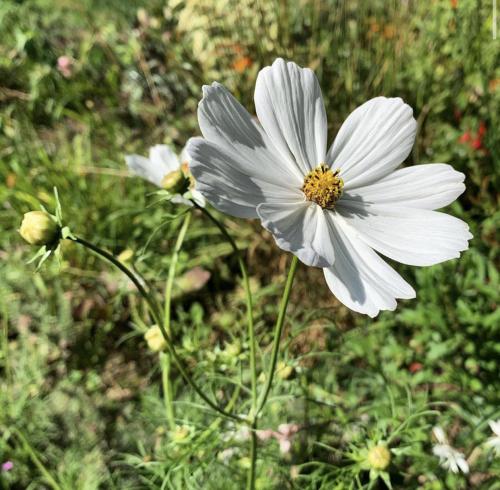 15:41:26 GMT+0000 (GMT).image