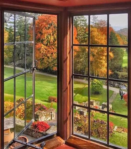 Autumn Window