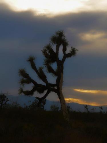 15:01:51 GMT-0800 (PST)