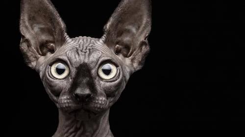 14:55:01 GMT-0600 (CST).image