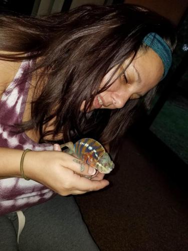 06:04:11 GMT-0500 (EST)