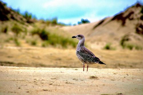 10:46:33 GMT-0500 (EST).image