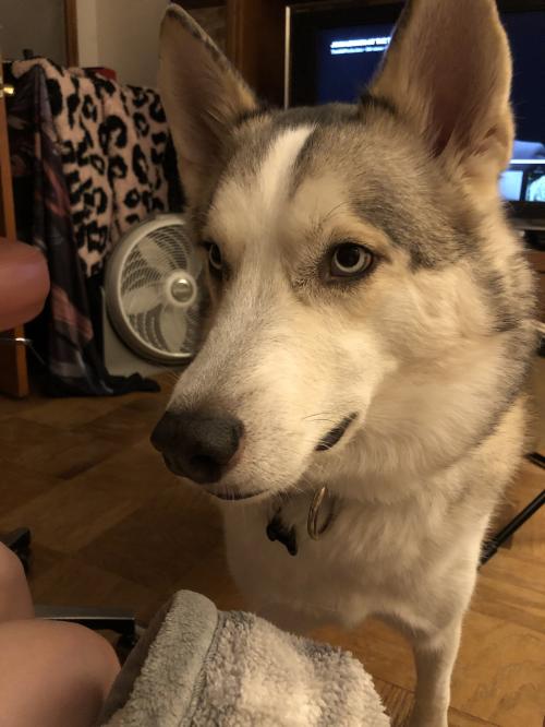 19:59:40 GMT-0500 (EST)