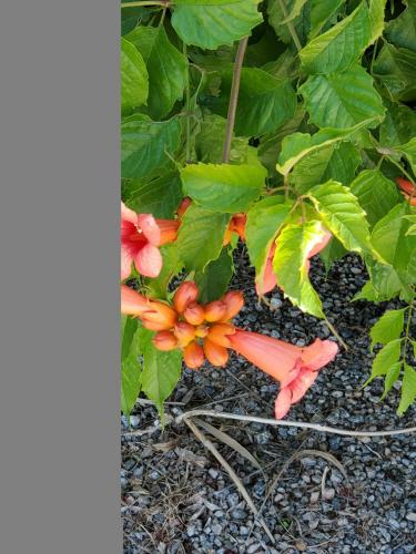 16:01:18 GMT-0800 (PST)