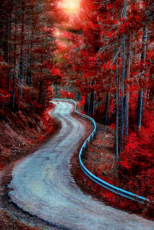 13:05:42 GMT-0800 (PST).image