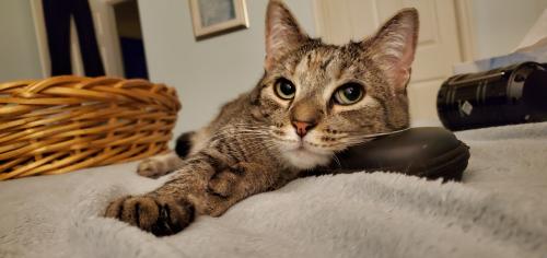 01:21:42 GMT-0500 (EST)