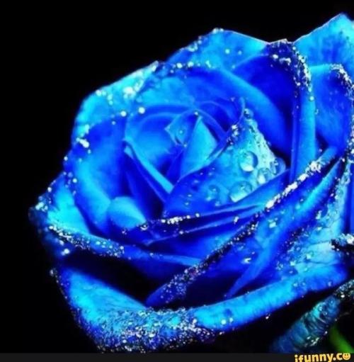 71B4ECD6-E962-46D4-B097-08B869FE5F24