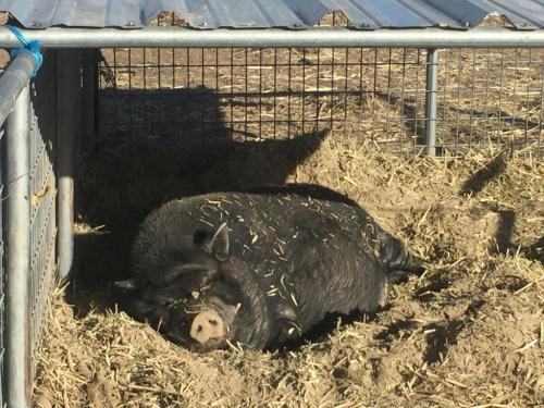 16:37:05 GMT-0800 (PST).image