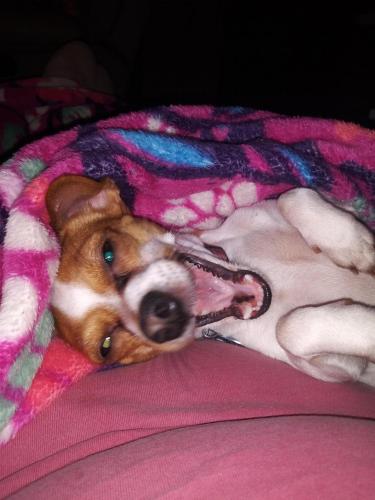 23:08:37 GMT-0500 (EST)