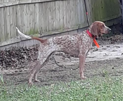 11:06:29 GMT-0500 (EST)