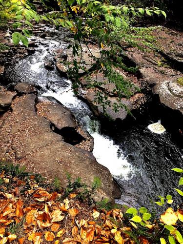 16:01:55 GMT-0500 (EST).image