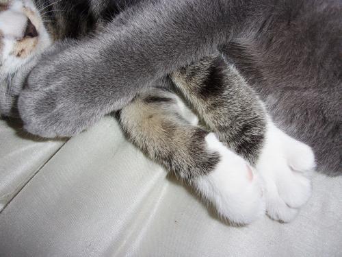 70466830_2630835156954607_3379553883679358976_o