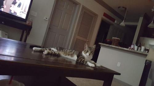 15443078_10154631199636550_5383067803351729369_o