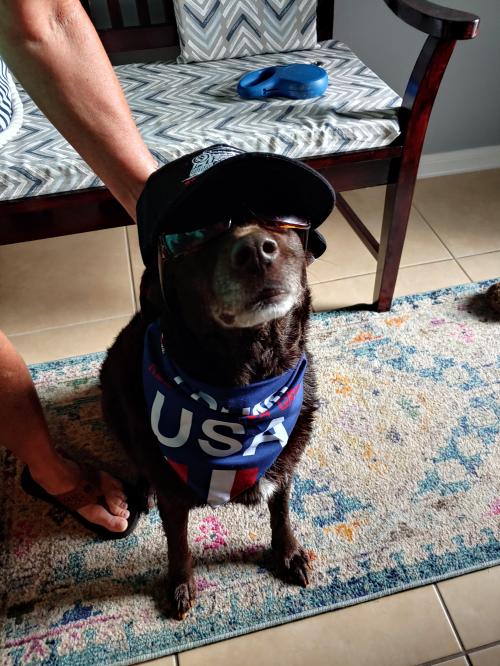 Reese riding Trump Train