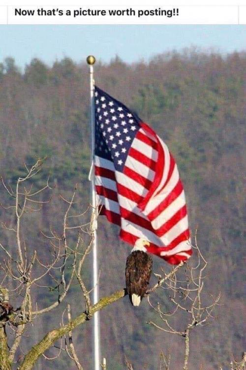 17:42:04 GMT-0500 (EST).image