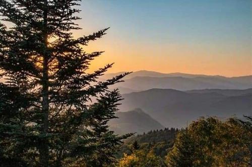 received_373617623997260