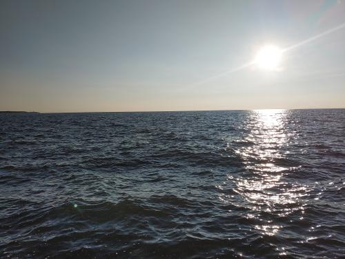 19:26:17 GMT-0500 (EST)