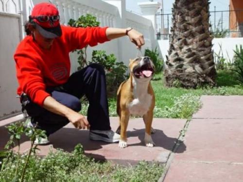 Oscar Pando ? @OsPando