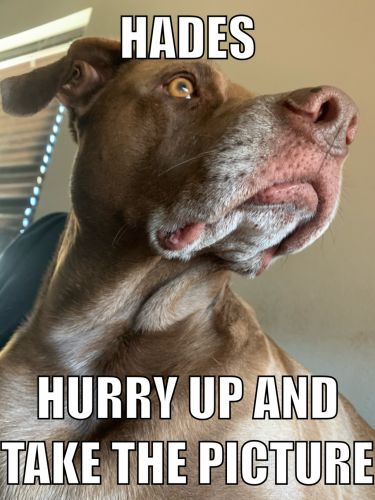 09:03:34 GMT-0600 (CST).image