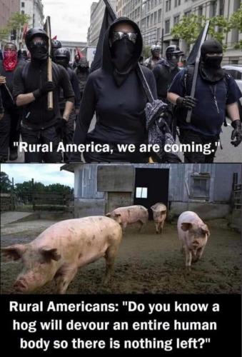 9ADC8334-C0AF-40DC-AF98-9455F06DDBF7-13337-000008F0057028ED